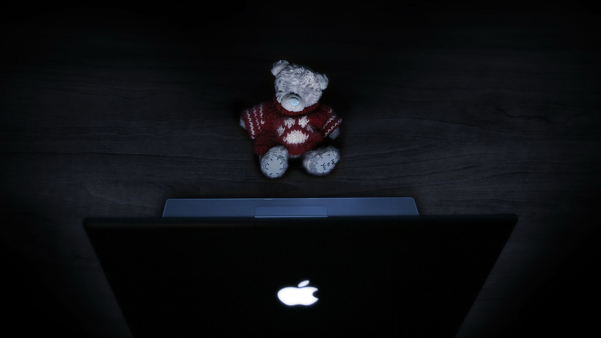 Медвежонок и ноутбук