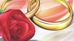 Свадебные кольца